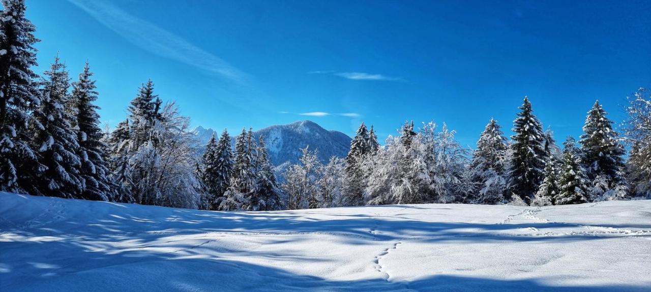 Apartma Ursic Kranjska Gora Extérieur photo