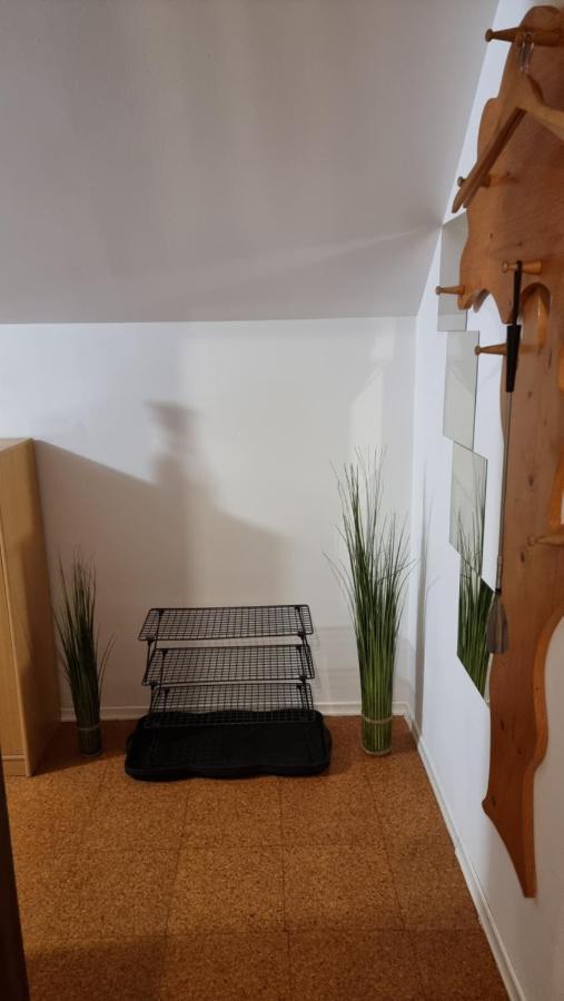 Apartma Ursic Kranjska Gora Extérieur photo